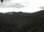 Archived image Webcam Großer Rachel, Bavarian Forest 15:00
