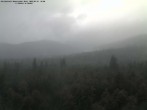 Archived image Webcam Großer Rachel, Bavarian Forest 17:00