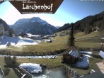 Archived image Webcam Lärchenhof Naturhotel 11:00