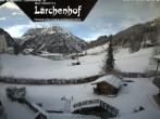 Archived image Webcam Lärchenhof Naturhotel 07:00