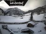 Archived image Webcam Lärchenhof Naturhotel 09:00