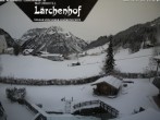 Archived image Webcam Lärchenhof Naturhotel 11:00