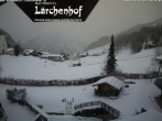 Archived image Webcam Lärchenhof Naturhotel 13:00