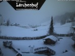 Archived image Webcam Lärchenhof Naturhotel 15:00