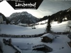 Archived image Webcam Lärchenhof Naturhotel 09:00