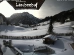 Archived image Webcam Lärchenhof Naturhotel 11:00