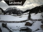 Archived image Webcam Lärchenhof Naturhotel 09:00