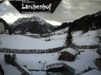 Archived image Webcam Lärchenhof Naturhotel 13:00