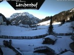 Archiv Foto Webcam Lärchenhof Hotel, Mittelberg 09:00