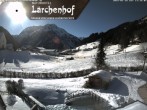 Archiv Foto Webcam Lärchenhof Hotel, Mittelberg 11:00