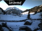 Archived image Webcam Lärchenhof Naturhotel 09:00