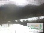 Archived image Webcam Steinberg-Alm mountain inn 13:00