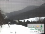 Archived image Webcam Steinberg-Alm mountain inn 09:00