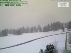 Archived image Webcam Kornau Oberstdorf 15:00