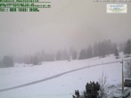 Archived image Webcam Kornau Oberstdorf 13:00