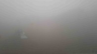 Archived image Webcam Happy Valley - Whakapapa Ski Resort 11:00