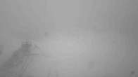 Archived image Webcam Happy Valley - Whakapapa Ski Resort 11:00