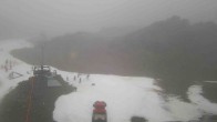 Archiv Foto Webcam Whakapapa: Happy Valley 11:00