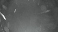 Archiv Foto Webcam Whakapapa: Blick auf Berg Te Heuheu 03:00