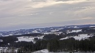 Archiv Foto Webcam Blick auf Altreichenau 11:00