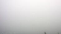 Archiv Foto Webcam Blick auf Altreichenau 09:00