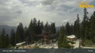 Archived image Webcam Spruce Tree Castle Rosenalm 14:00