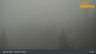 Archived image Webcam Spruce Tree Castle Rosenalm 10:00
