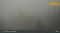 Archived image Webcam Spruce Tree Castle Rosenalm 12:00