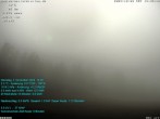 Archiv Foto Webcam Blick Richtung Lackenhäuser 13:00