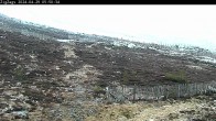 Archiv Foto Webcam Skigebiet Cairngorm Mountain - Zig Zags Piste 04:00