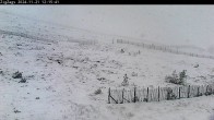 Archiv Foto Webcam Skigebiet Cairngorm Mountain - Zig Zags Piste 10:00