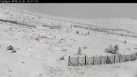 Archiv Foto Webcam Skigebiet Cairngorm Mountain - Zig Zags Piste 12:00