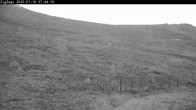 Archiv Foto Webcam Skigebiet Cairngorm Mountain - Zig Zags Piste 06:00