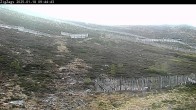 Archiv Foto Webcam Skigebiet Cairngorm Mountain - Zig Zags Piste 08:00