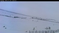 Archiv Foto Webcam Skigebiet Cairngorm Mountain - Zig Zags Piste 12:00