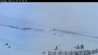 Archiv Foto Webcam Skigebiet Cairngorm Mountain - Zig Zags Piste 14:00