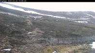 Archiv Foto Webcam Skigebiet Cairngorm Mountain - Zig Zags Piste 12:00