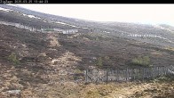 Archiv Foto Webcam Skigebiet Cairngorm Mountain - Zig Zags Piste 12:00