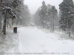 Archiv Foto Webcam Skigebiet The Lecht - Aberdeen Snowgate 12:00