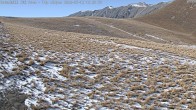 Archived image Webcam Roundhill Peak 11:00