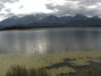 Archived image Webcam at Hopfen am See: Restaurant Fischerhütte 07:00