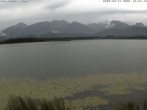 Archived image Webcam at Hopfen am See: Restaurant Fischerhütte 11:00