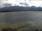 Archived image Webcam at Hopfen am See: Restaurant Fischerhütte 17:00