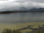 Archiv Foto Webcam Hopfensee: Restaurant Fischerhütte 12:00