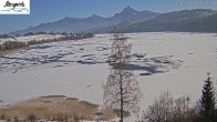 Archiv Foto Webcam Weißensee bei Füssen 11:00