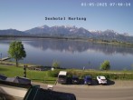 Archiv Foto Webcam Blick vom Seehotel Hartung auf den Hopfensee 08:00