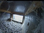 Archiv Foto Webcam Dom in Aachen: Falken im Westturm 06:00