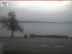 Archived image Webcam Berlingen - Thurgau (Switzerland) 09:00