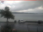 Archiv Foto Webcam in Berlingen am Untersee 09:00