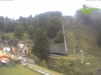 Archived image Webcam Steinwasen Park Oberried 11:00